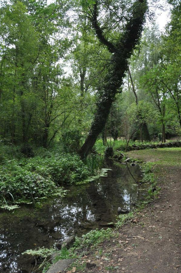 Apartamento "El Lila" - Parking Incluido Olot Εξωτερικό φωτογραφία