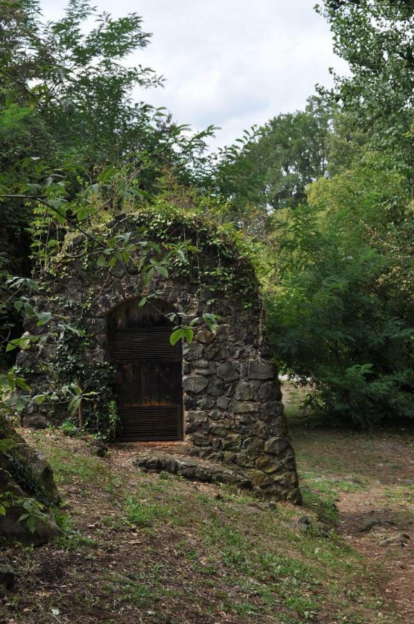 Apartamento "El Lila" - Parking Incluido Olot Εξωτερικό φωτογραφία